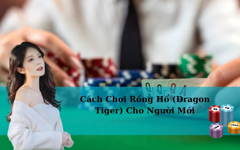 Cách Chơi Rồng Hổ (Dragon Tiger) Cho Người Mới