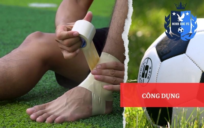 Công Dụng