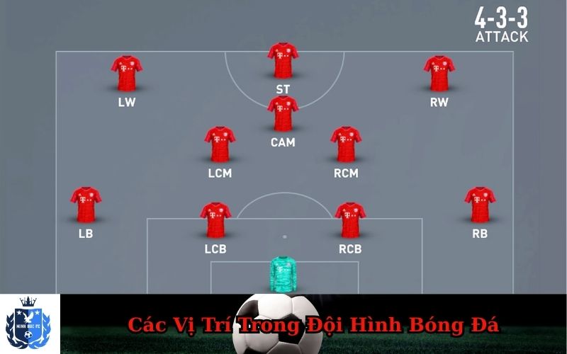 Các Vị Trí Trong Đội Hình Bóng Đá