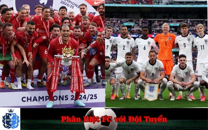 Phân Biệt FC với Đội Tuyển