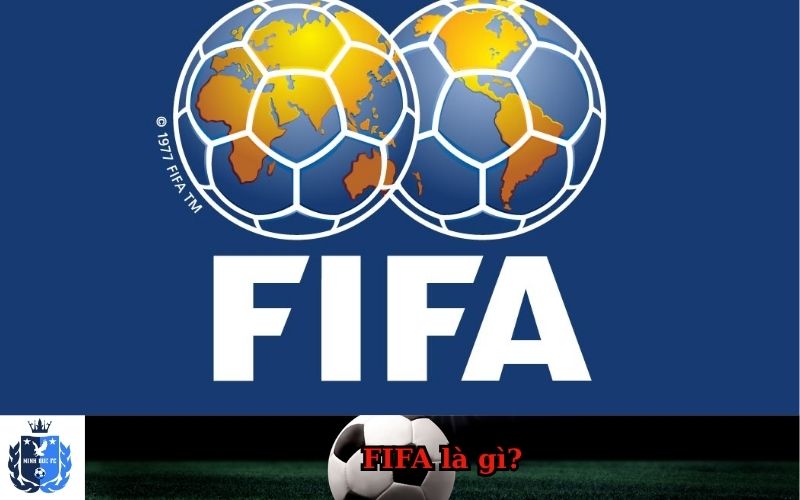 FIFA là gì