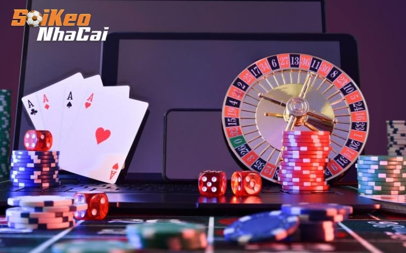 Các môn thể thao và giải đấu trọng tâm được phân tích