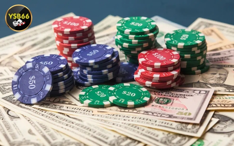 Các thuộc tính của nhà điều hành game hàng đầu