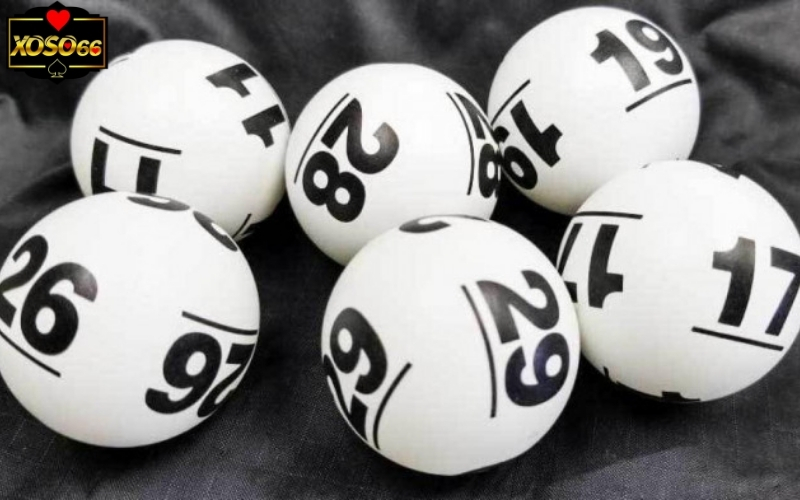 Hướng dẫn liên hệ qua email và hotline