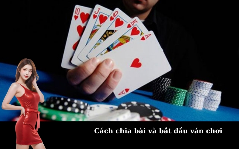 Cách chia bài và bắt đầu ván chơi