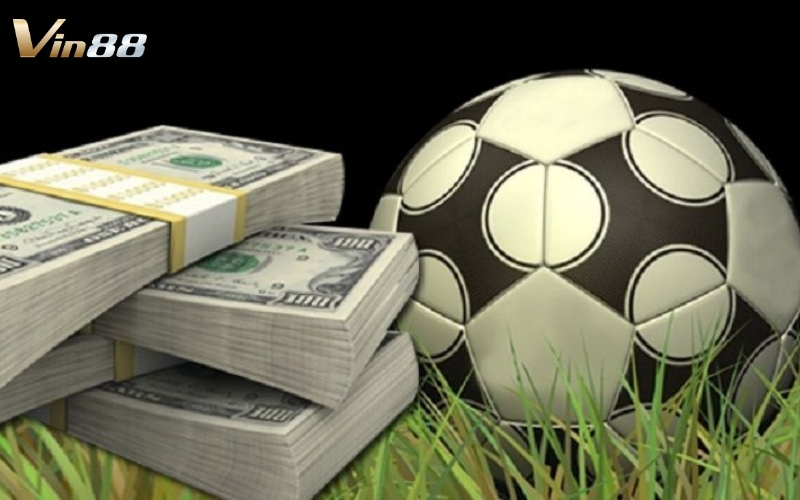 Cập nhật chương trình khuyến mãi và ưu đãi đặc biệt