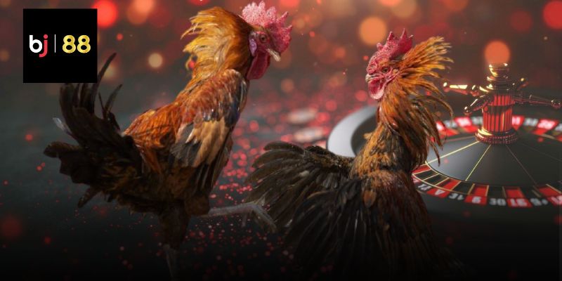 Bí Quyết Huấn Luyện Sinh Vật Cảnh Đạt Tiêu Chuẩn Cao