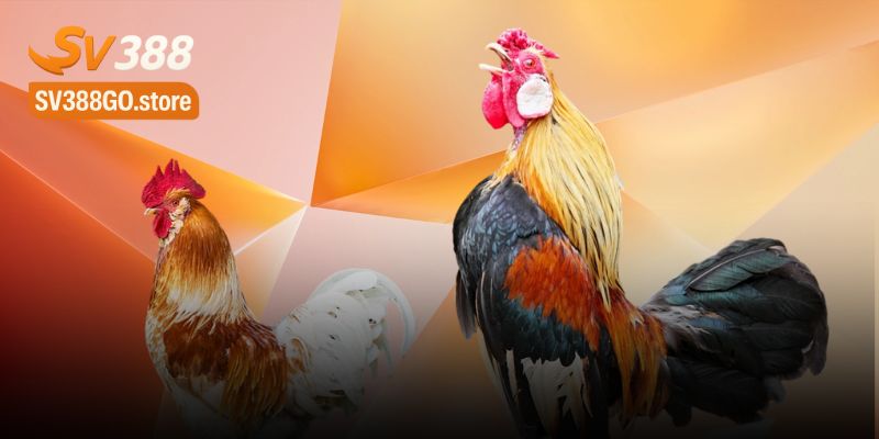 Chế độ dinh dưỡng sinh vật cảnh cần thiết