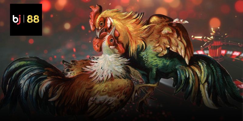 Kỹ thuật nâng cao cho sinh vật cảnh thi đấu