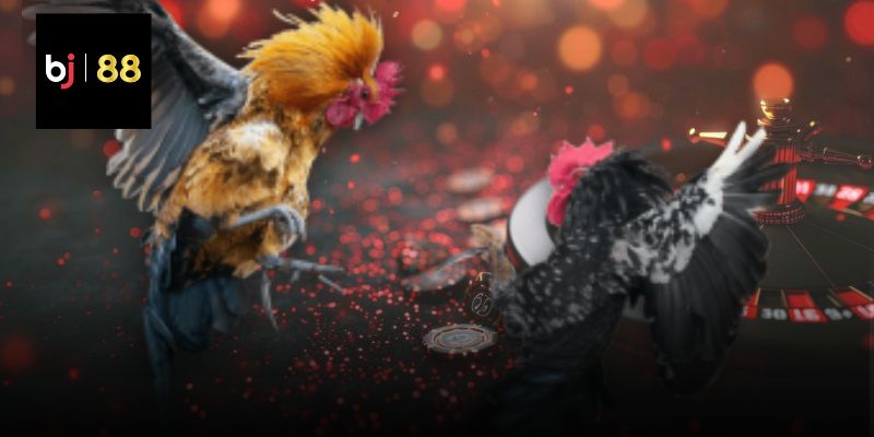 Phương pháp huấn luyện sinh vật cảnh cơ bản nhất