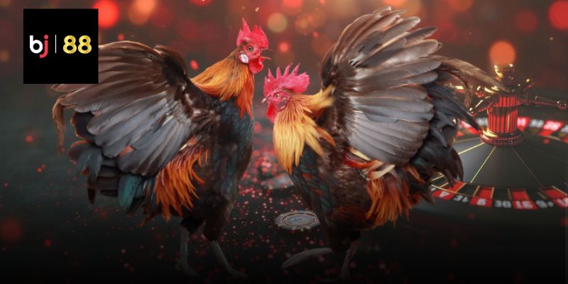 Sai lầm cần tránh khi rèn luyện thú cưng